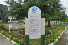 گالری تصاویر